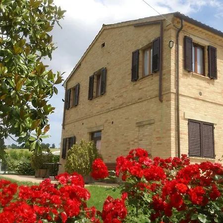 Fattoria Silvia Edera * Giuliodori