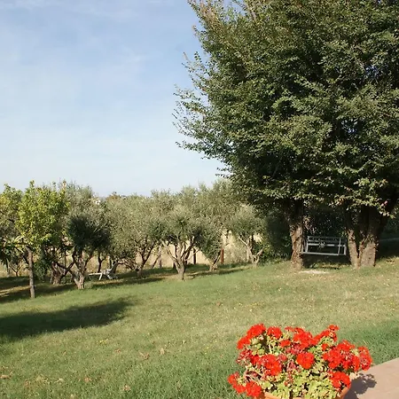 Fattoria Silvia Edera * Giuliodori