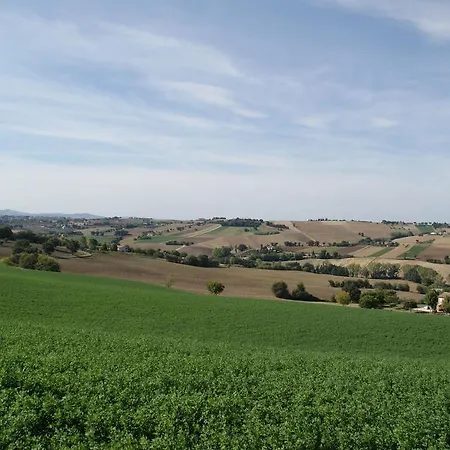 Fattoria Silvia Edera * Giuliodori
